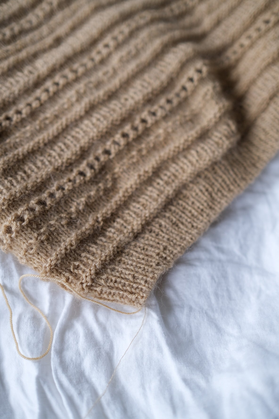 Biscottisweater