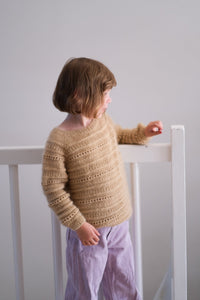 Garnpakke - Biscottisweater