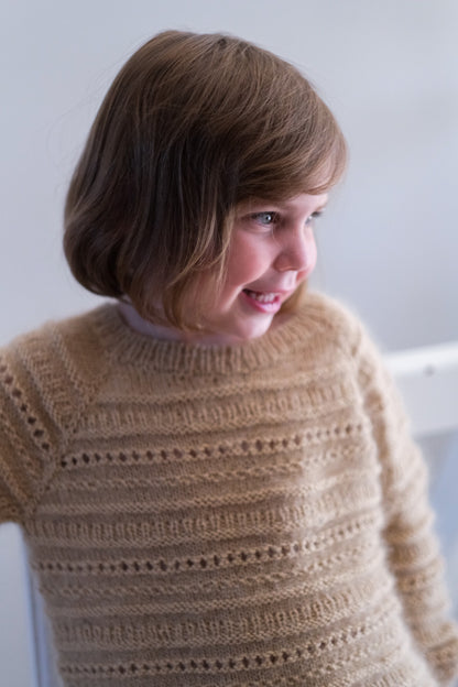 Biscottisweater