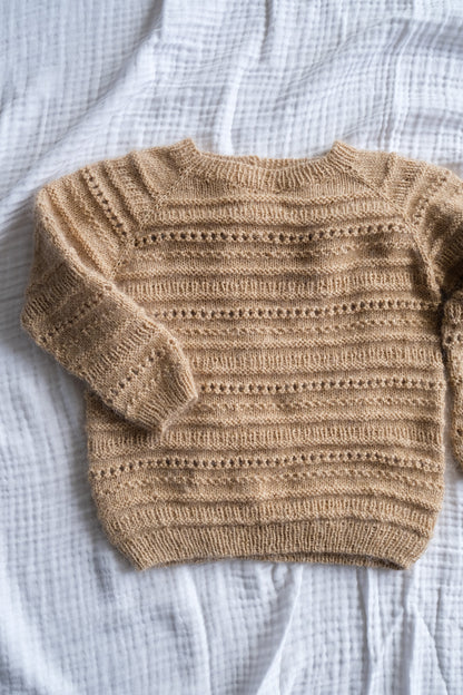 Biscottisweater